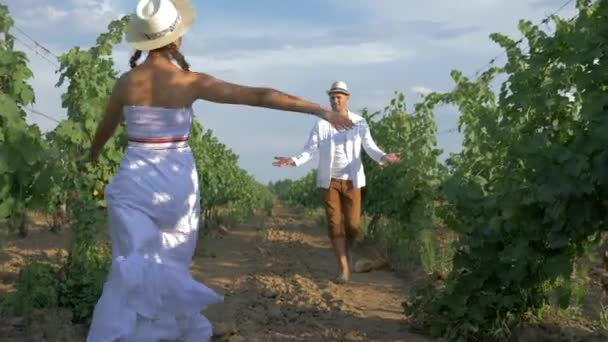 Grape crop, happy rural couple hugs at meeting during harvest season at vineyard — Αρχείο Βίντεο