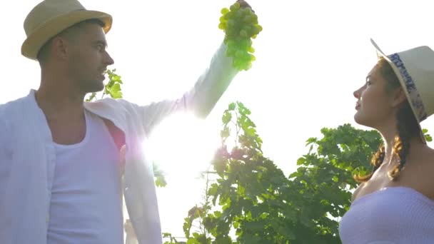 Сбор урожая, молодая пара в шляпах смотрит на кучу белого винограда в солнечном свете в саду — стоковое видео