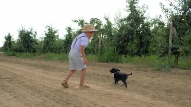 Menino e filhote de cachorro correndo e brincando em um jardim de maçã, câmera lenta — Vídeo de Stock