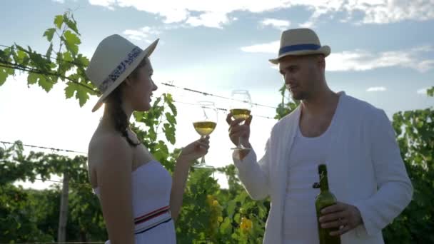 Vine farming, loving couple of villagers flirt and does toasting glasses with alcohol drink at vineyard — Stok video