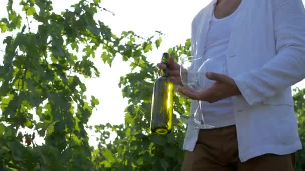 Winemaking, bottle alcoholic beverage and glasses in farmer hands on background of ripe bunch of grapes in sunlight — ストック動画