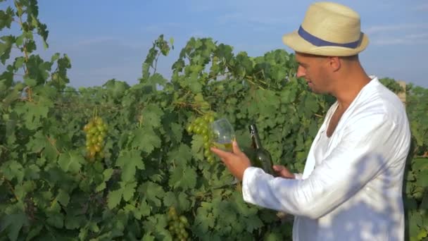 Vinificación, sommelier en sombrero y camisa blanca bebiendo bebidas alcohólicas en plantación de vid durante la cosecha en otoño — Vídeo de stock