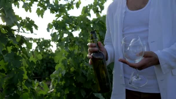 Winery, bottle alcoholic drink and glasses into farmer hands on background of ripe grapes at plantation in sunlight — ストック動画