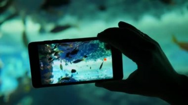 Cep telefonu, kamerada farklı balıkların olduğu bir akvaryumu yakın plan çeker.