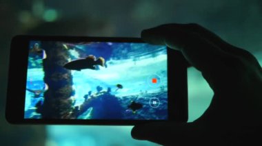 Canlı balıklar müzesi, elinde akıllı telefon büyük akvaryumdaki deniz hayvanlarının videolarını çekiyor.