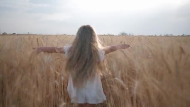 Agrobyznys, malá holčička šťastně běží přes pole sklizně obilí a klouže rukama po hřeby pšenice v období sklizně — Stock video