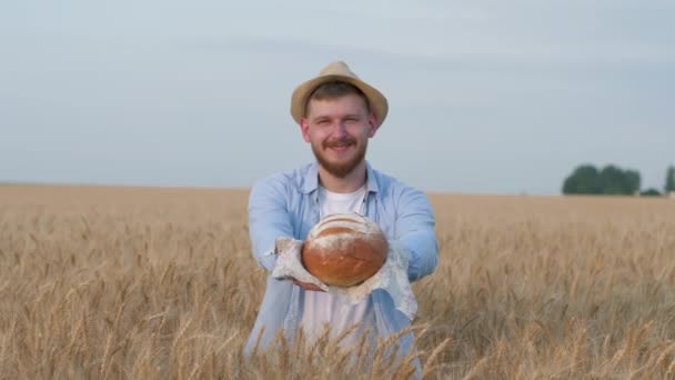 Cultivador de grano agrónomo, joven le da delicioso pan casero sonriendo en la cosecha de grano pradera de otoño — Vídeo de stock