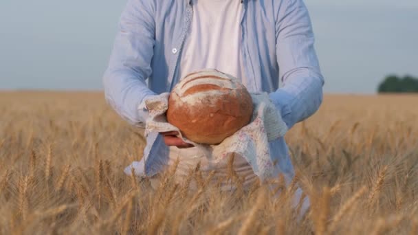 Cosecha de pan, hombre manos presentes y darle pan horneado en toalla blanca en otoño campo de cebada grano madurado en el momento de ceder — Vídeo de stock