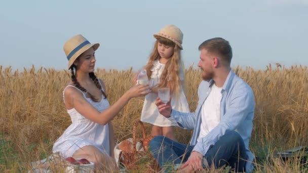 Familie idylle, jong gelukkig paar met klein leuk kind meisje drinken melk in het weekend landelijke picknick in zonnig gewas seizoen van gele korrel weide — Stockvideo