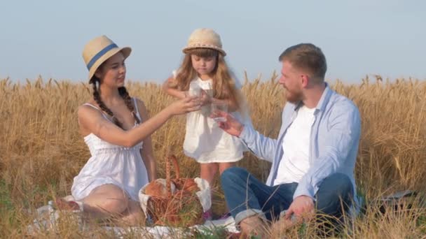 Familj picknick i sädesfält, lilla flicka häller mjölk i glasögonen på sina unga glada föräldrar under vila och njuta av landsbygden höst skörd tid på säd vete äng — Stockvideo