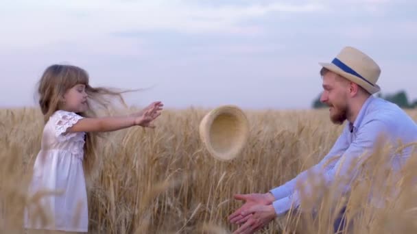 Apa és gyermek játszani a természetben, fiatal boldog szülő és nevetett kislánya szórakozni játszani, és dobott egymásnak szalma kalap ősszel termés gabona búzamező — Stock videók