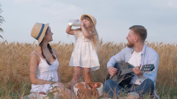 幸せな家族の瞬間、かわいい子供の女の子はボトルからミルクを飲み、彼女の美しい両親は笑い、若いお父さんは秋の収穫時に穀物のオートフィールドで屋外ピクニック中にギターを弾く — ストック動画