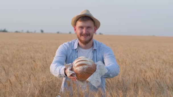 成功した若い農家の幸せな農村の男は秋の収穫時に穀物の小麦のパン畑にいるあなたにおいしい根と笑顔を与えます — ストック動画