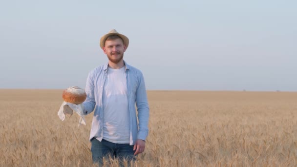 Cosecha, el tipo feliz sostiene el pan en su mano y muestra con la mano la extensión del campo de trigo de grano en la temporada de otoño rendimiento — Vídeos de Stock