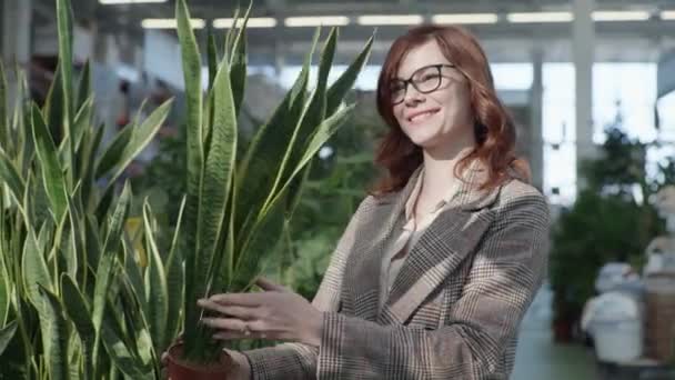 Jonge vrouw onderzoekt bloemen in zonnige tuin, vrouw met bril voor visie koopt decoratieve planten in potten op floristische serre markt, concept van huis en tuin — Stockvideo