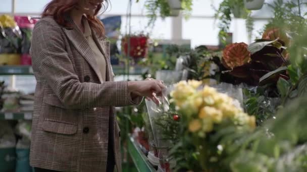 Female shopper gardener chooses decorative blooming house flowers in pots on shelves of flower shop background of green plants, hands close up — Αρχείο Βίντεο