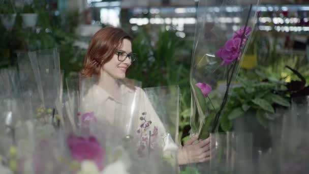 Floristin, lächelndes Blumenmädchen mit Brille untersucht dekorativ blühende Zimmerpflanzen in Töpfen in einem Gewächshaus des Blumengeschäfts für die Innendekoration von Haus oder Büro — Stockvideo