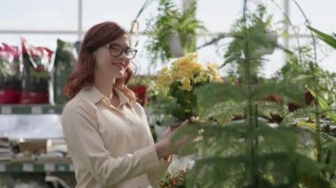 Elinde saksıda çiçek açan güzel bir kızın portresi. Bahçıvanlık için seradaki yeşil bitkilerin arka planı.