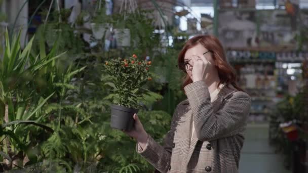 Mooi glimlachend meisje met decoratieve home flower in een pot voor thuis of op kantoor decor tijdens het winkelen in bloemenwinkel kas — Stockvideo