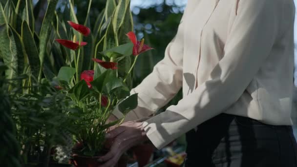 Çiçekçide çiçekçi olarak çalışan genç bir kadın, çiçek ve bitki satıyor, çiçekçide mutlu satış müdürü, dükkanı kapatıyor. — Stok video