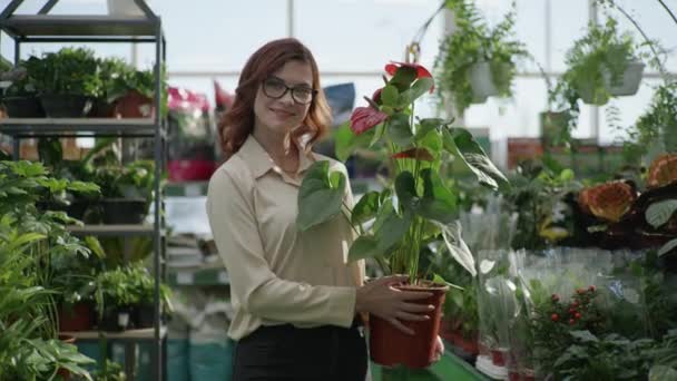 Jardinagem, retrato de menina em óculos com planta decorativa em casa nas mãos em fundo estufa de plantas de casa verde, loja de flores — Vídeo de Stock