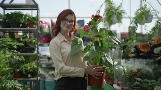 Gardening, portrait of girl in glasses with decorative home plant in hands in greenhouse background of green home plants, flower shop — Stock Video