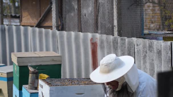 Человек в защитном костюме пчеловод работает с ульями на пасеке использует курящее устройство, чтобы отпугнуть злых пчел, чтобы проверить качество меда — стоковое видео