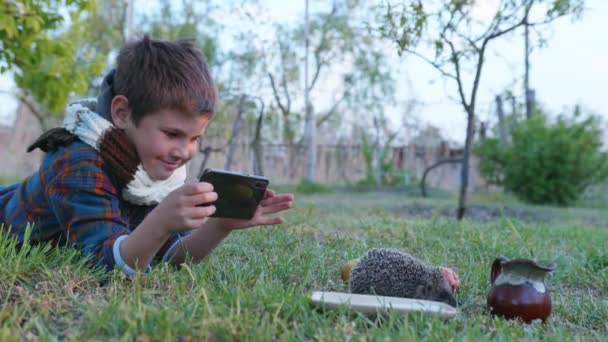 Carefree childhood, cheerful boy with scarf and phone photographs little hedgehog near bowl of milk on smartphone camera — Stock Video