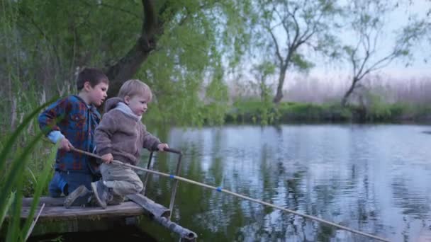Förhållande, vänliga pojkbröder fånga fisk på ett träspö sitter på brädorna vid dammen i mitten av vassen på en varm vårdag — Stockvideo