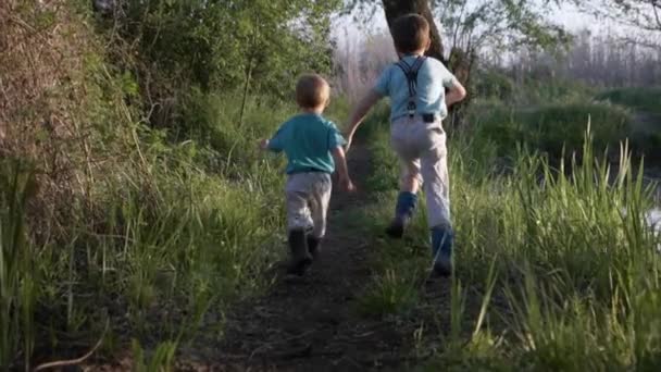 Carefree childhood, joyful boys run along path among green trees near river bank — Stock Video