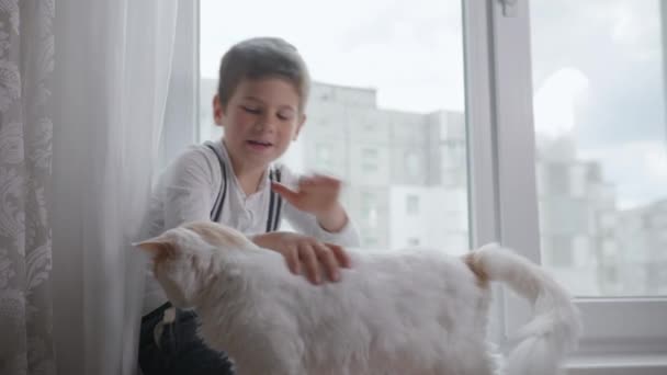 Догляд за домашнім улюбленцем, весела чоловіча дитина насолоджується спілкуванням з домашнім котом — стокове відео