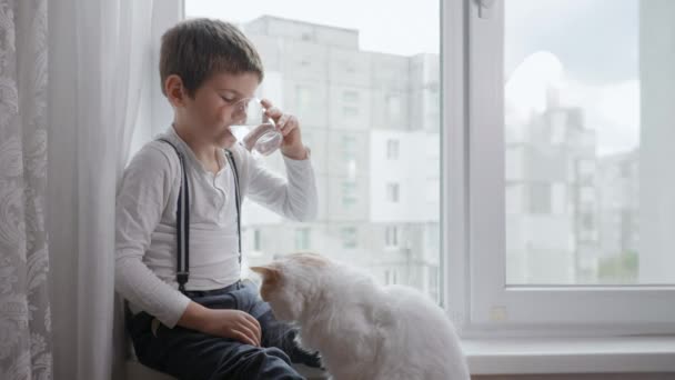 Здравоохранение, симпатичный мальчик пьет чистую прохладную питьевую воду из стеклянной чашки, сидя у окна в комнате — стоковое видео