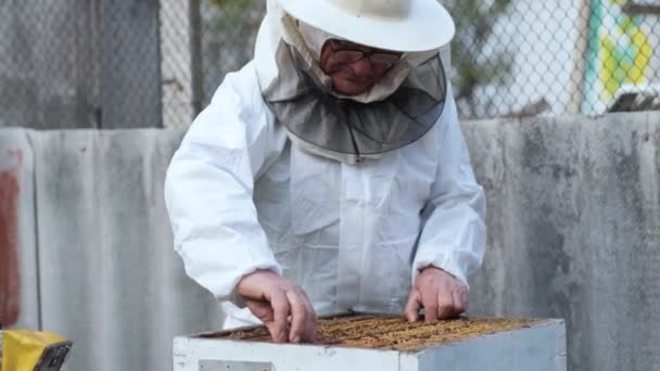 Пчеловодство, пожилой человек в защитном костюме с очками для глаз дезинфицирует пчел удаляет соты из ульев, чтобы проверить сбор меда на пасеке — стоковое видео