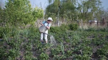 Bahar bahçıvanı konsepti, güneş şapkası takan, elinde su kovası, bahçede fideleri sulayan tatlı çocuk.