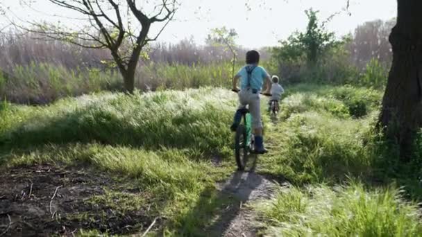 Glückliche Kindheit, gesunde freundliche Kinder Brüder zusammen werden glücklich ihre Zeit verlängern, indem sie auf grünem Rasen im Freien rudern — Stockvideo