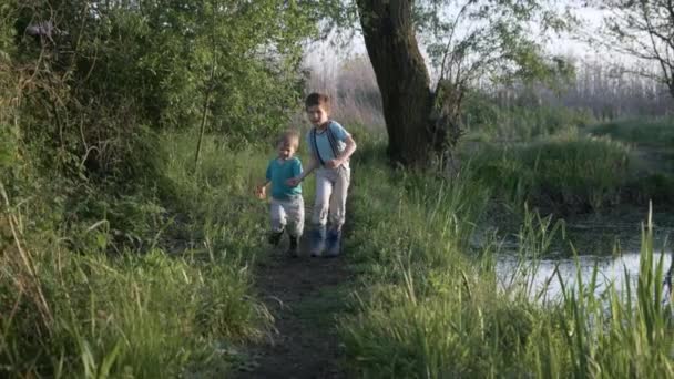 Happy childhood, joyful boys running holding hands along path among green trees near river bank — Stock Video