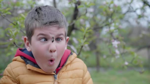 Potret seorang anak laki-laki lucu yang memiliki lebah madu di wajahnya, seorang anak terlupakan takut gigitan serangga — Stok Video