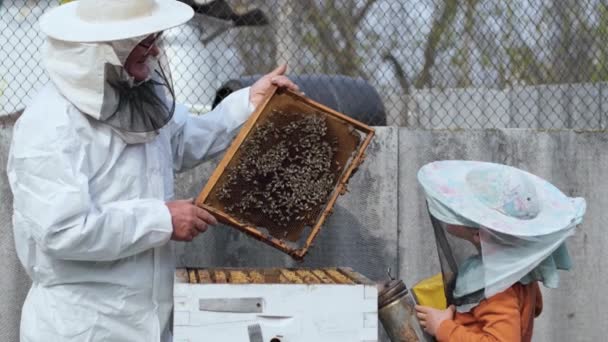 Семейный бизнес, дед пчеловод в защитном костюме говорит о пчеловодстве своему внуку в защитной шляпе — стоковое видео