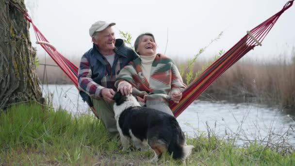 Tertawa bahagia menikah pasangan duduk di tempat tidur gantung memeluk dan bersenang-senang membelai anjing — Stok Video