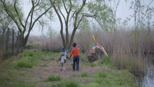 Kindheit, fröhliche Kinderbrüder rennen Händchen haltend mit einem Drachen im Freien — Stockvideo