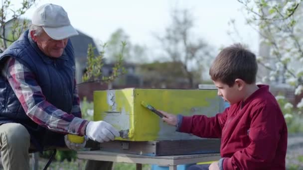 Mannelijke oudere man imker met zijn kleinzoon met behulp van speciale verf en borstel te schilderen houten platen voorbereiding van een bijenkorf voor de zomer — Stockvideo