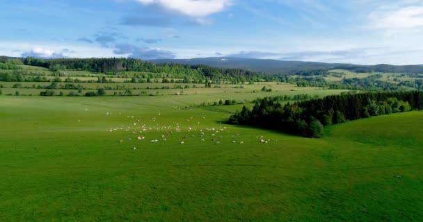Vista Aearial para as montanhas Jeseniky na República Checa durante o agradável dia de verão com céu azul e nuvens — Vídeo de Stock