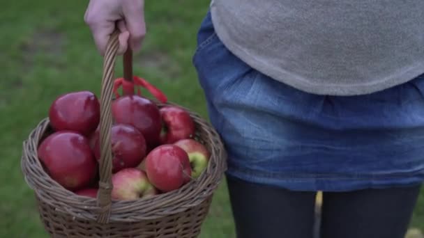 Boerenhanden Houden Een Grote Mand Vol Rode Appels Vast — Stockvideo