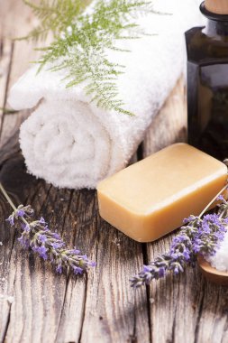 Tahta masada spa tedavisi