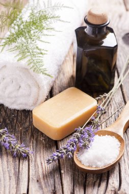 Tahta masada spa tedavisi