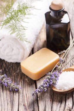 Tahta masada spa tedavisi