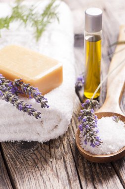 Tahta masada spa tedavisi