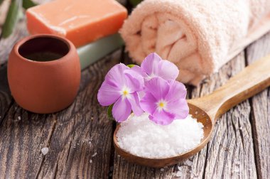 Tahta masada spa tedavisi