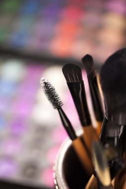 profesyonel makyaj ile profesyonel makyaj Far seteye-gölge kümesiyle