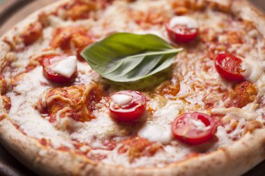 Mozzarella, peynir ve fesleğen yapraklı kırsal İtalyan pizzası.